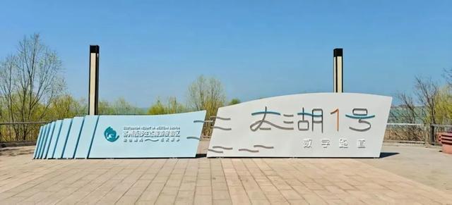 世界杯直播软件更新-五千跑者集结，2026苏州太湖数字半程马拉松开跑